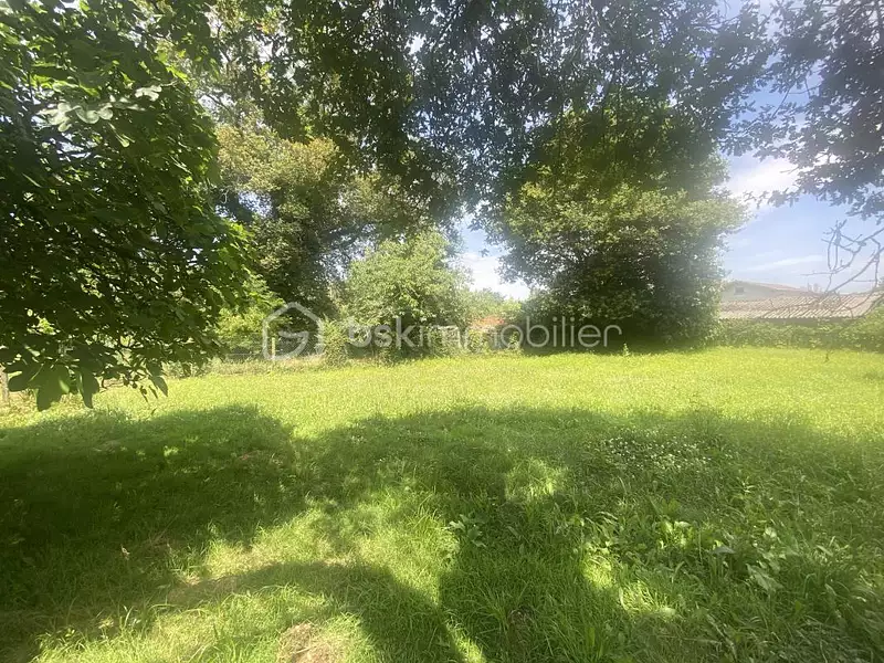 Terrain, 300 m²