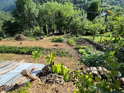 Maison, 48 m²