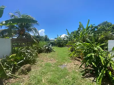 Appartement, 53,23 m²