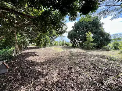 Terrain, 800 m²