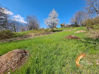Terrain, 502 m²