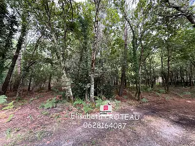 Terrain, 1 677 m²