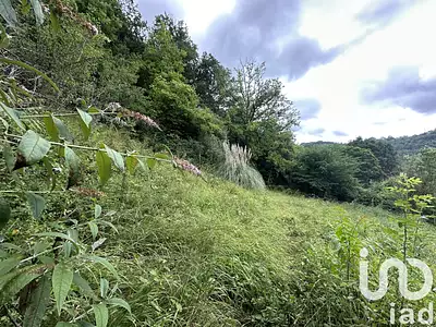 Terrain, 2 677 m²