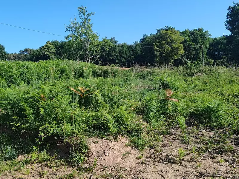 Terrain, 1 730 m²