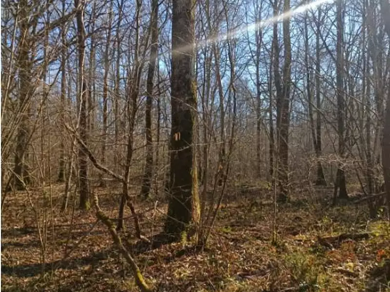 Terrain, 954 490 m²