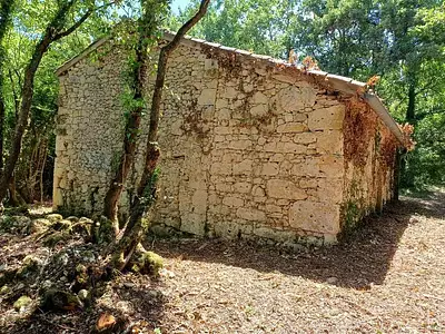 Maison, 30 m²
