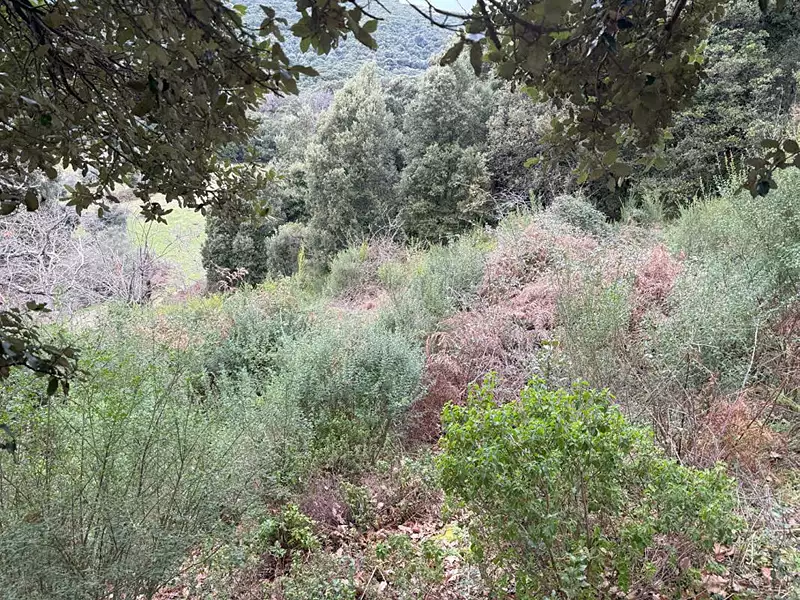 Terrain, 1 200 m²