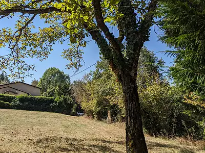 Terrain, 2 376 m²