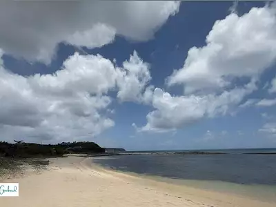 Terrain