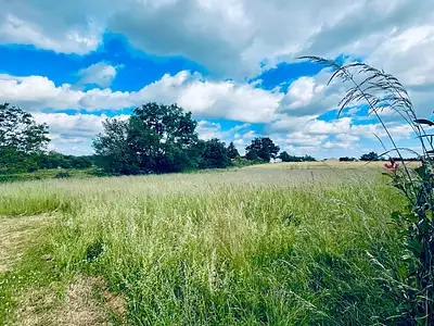 Terrain, 2 287 m²