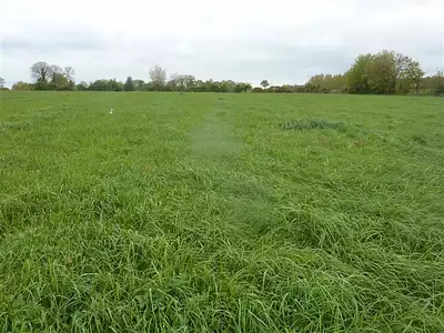 Terrain, 14 517 m²