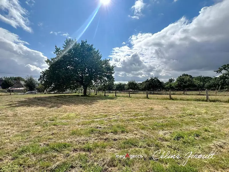Terrain, 1 250 m²