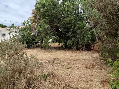Terrain, 445 m²