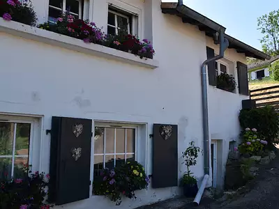 Maison, 80 m²