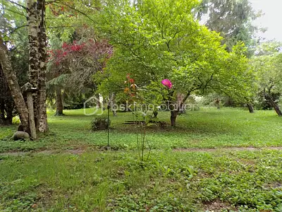 Maison, 260 m²