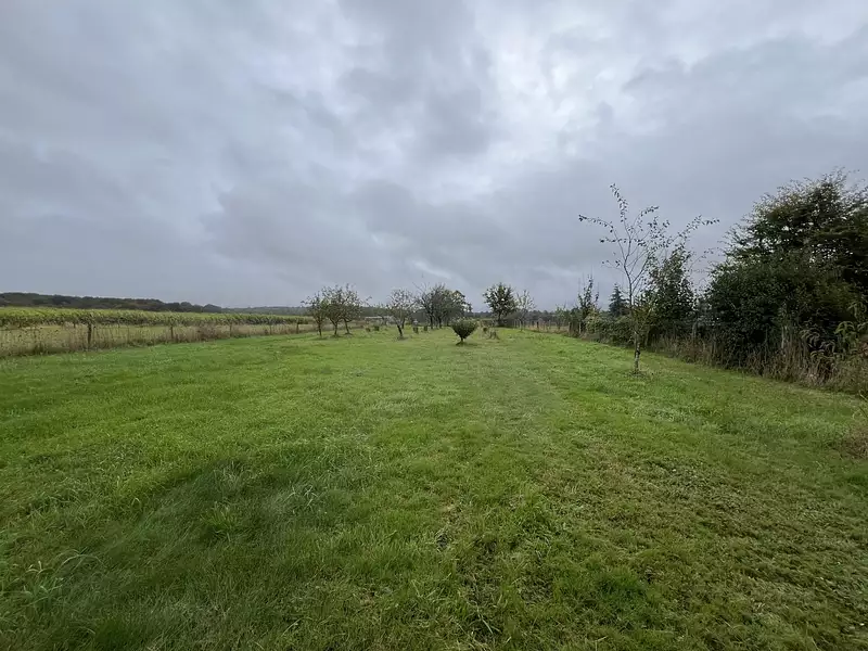 Terrain, 1 738 m²