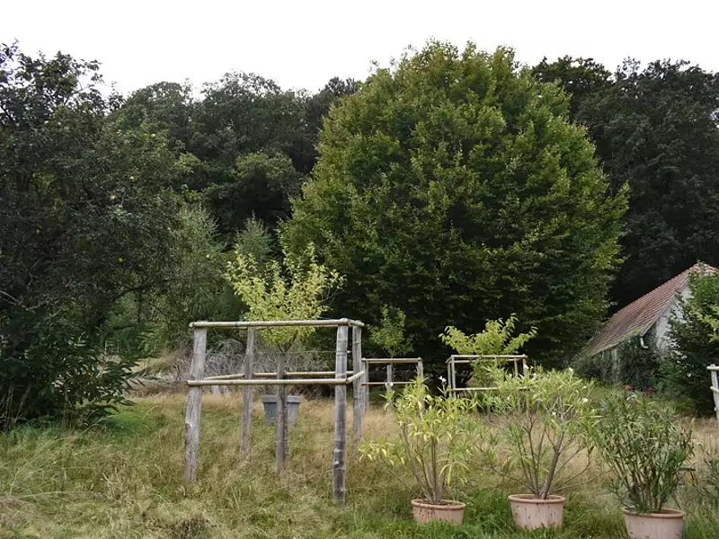 Terrain, 1 997 m²