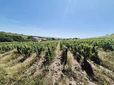 Terrain, 10 600 m²