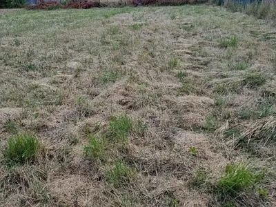 Terrain, 3 511 m²