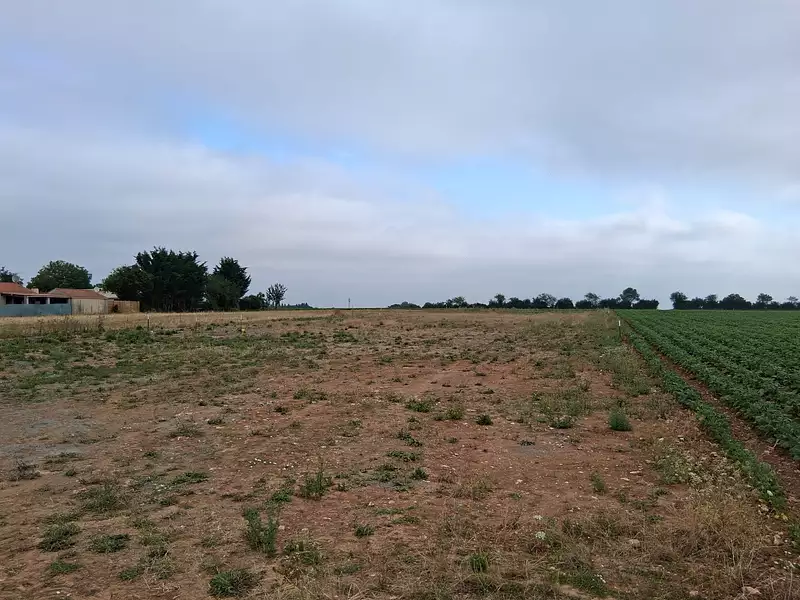 Terrain, 1 251 m²