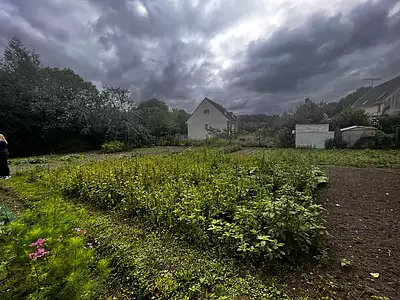 Terrain, 4 500 m²