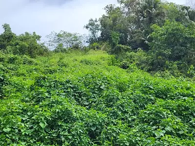 Terrain, 4 713 m²