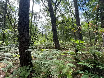 Terrain, 13 907 m²