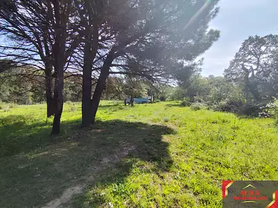 Terrain, 7 855 m²