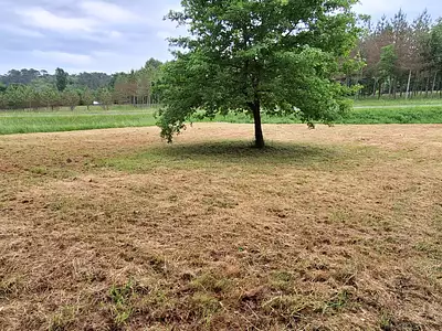 Terrain, 1 219 m²
