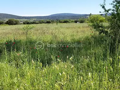 Terrain, 11 536 m²