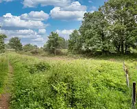 Terrain