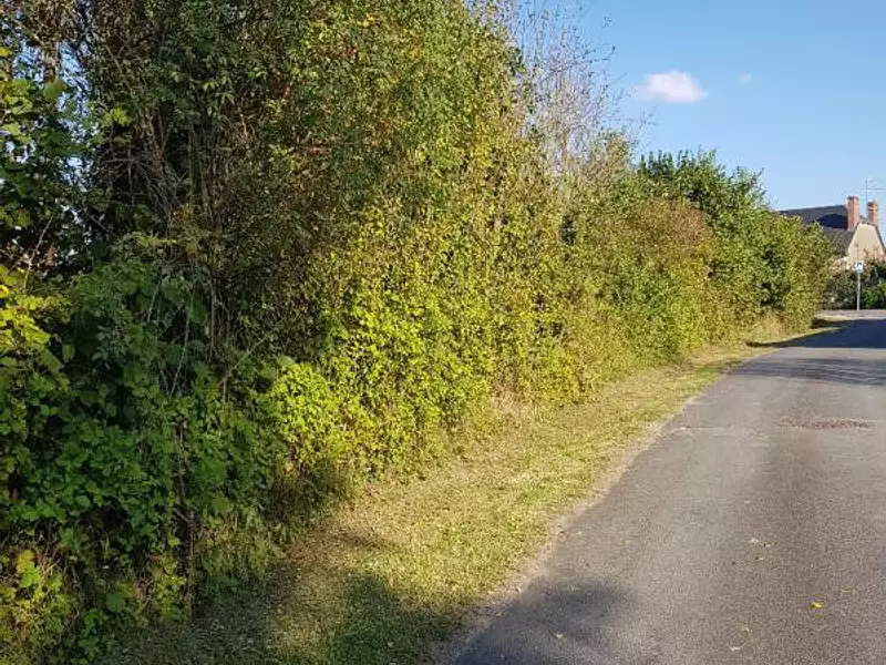 Terrain, 1 313 m²