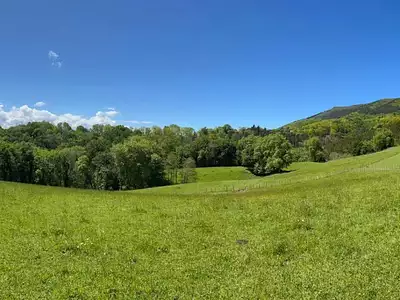 Terrain, 3 679 m²