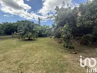 Terrain, 667 m²