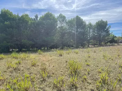 Terrain, 786 m²