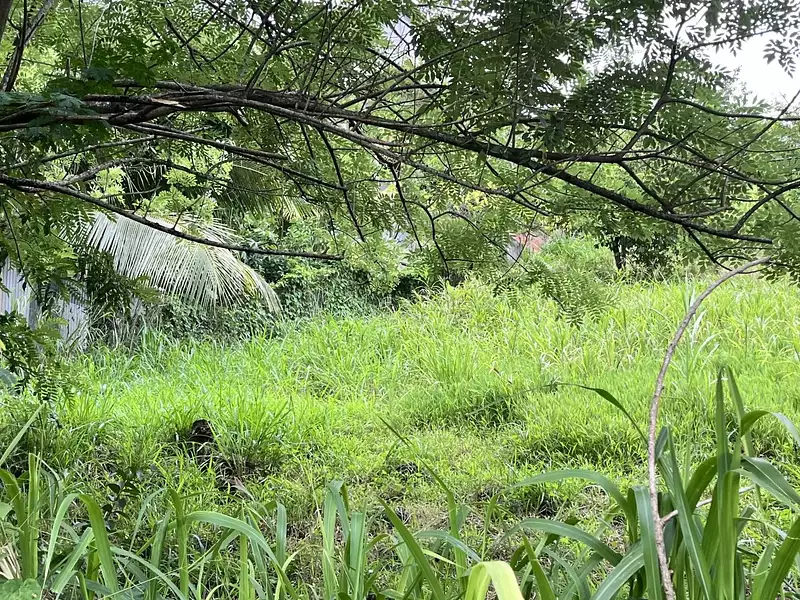 Terrain, 922 m²