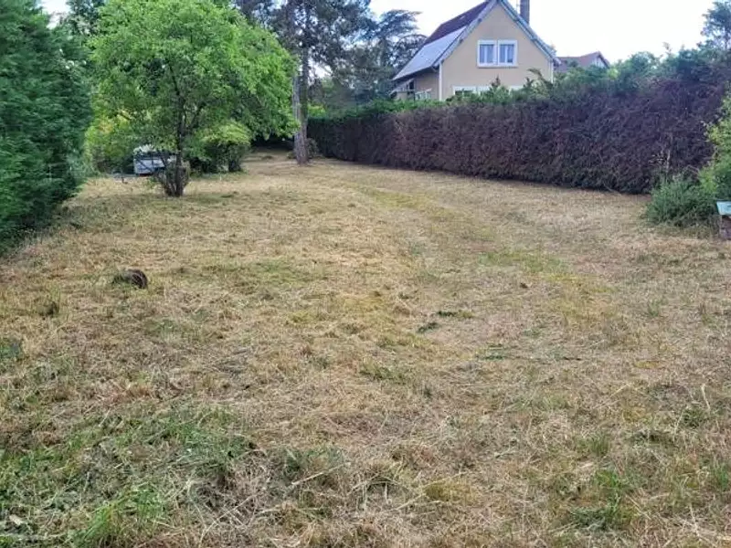 Terrain, 972 m²