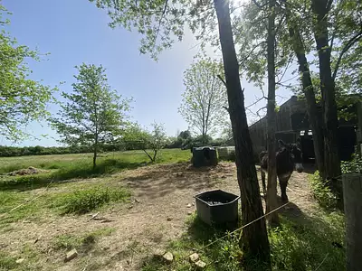 Maison, 65 m²