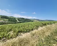 Terrain, 51 850 m²