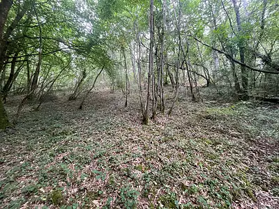 Terrain, 13 907 m²