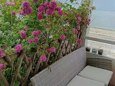 Maison, 49 m²