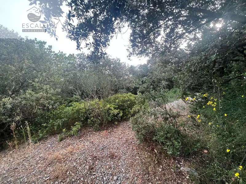 Terrain, 6 091 m²