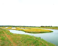 Terrain, 33 500 m²