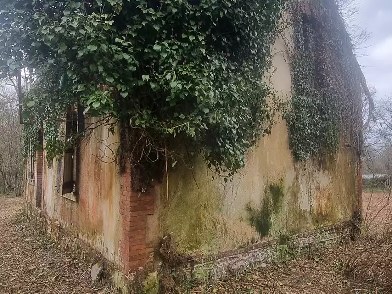Maison, 50 m²