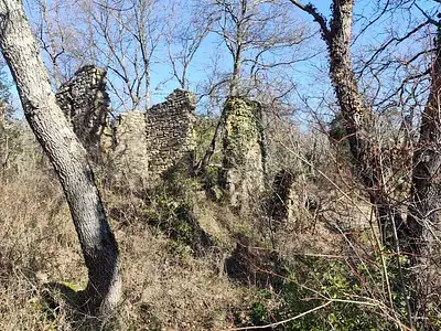 Terrain, 9 100 m²