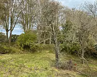 Terrain, 6 005 m²