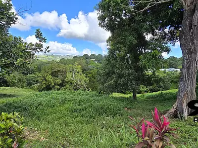 Terrain, 585 m²