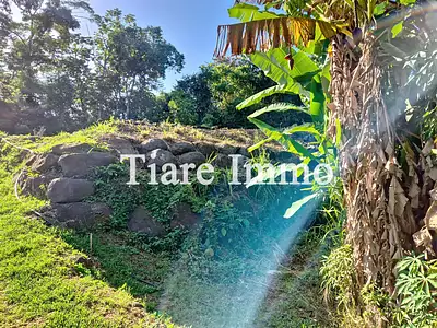 Terrain, 750 m²