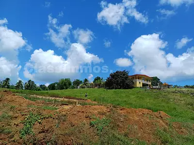 Terrain, 1 300 m²