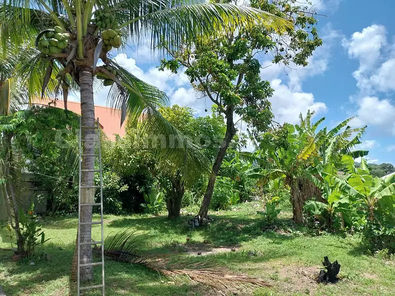 Maison, 53 m²